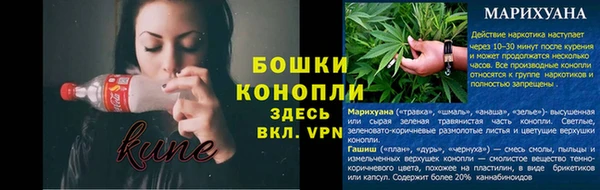 гашик Пересвет