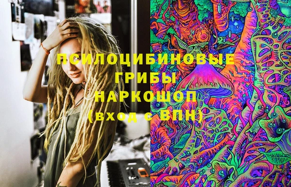 гашик Пересвет
