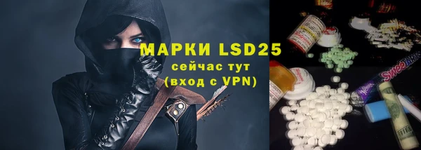 гашик Пересвет