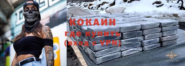 гашик Пересвет