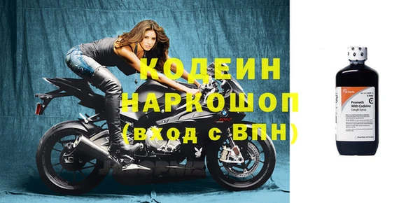 гашик Пересвет