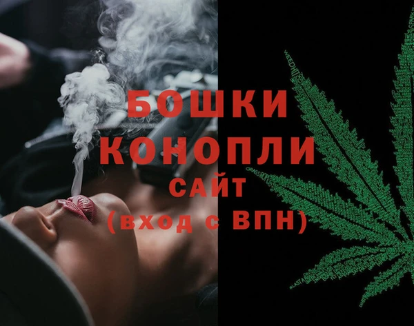 гашик Пересвет