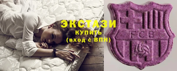 гашик Пересвет